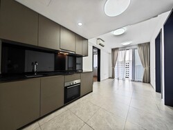Park Colonial (D13), Condominium #586178501